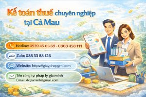 dịch vụ quyết toán thuế tại cà mau