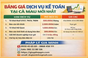 dịch vụ rà soát sổ sách kế toán tại cà mau