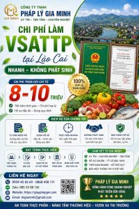 thủ tục cấp giấy vệ sinh an toàn thực phẩm tại lào cai