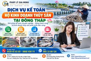 Dịch vụ kế toán hộ kinh doanh thủy sản tại Đồng Tháp